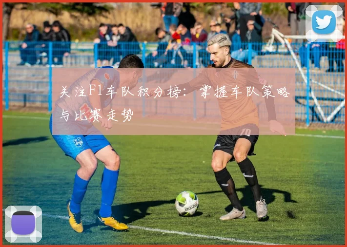 关注F1车队积分榜：掌握车队策略与比赛走势